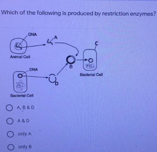 Please help me with the question in the photo.
