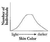 Examine the graph in Figure 11-3, which illustrates the frequency in types of skin pigmentation in h