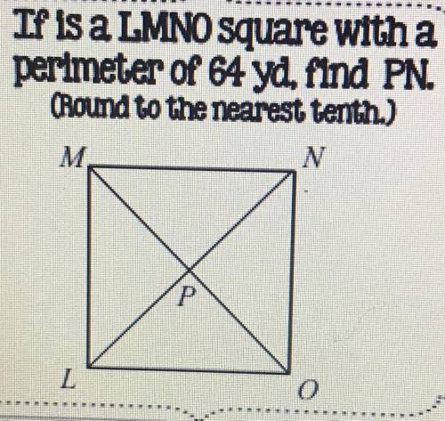 Find the length of PN.