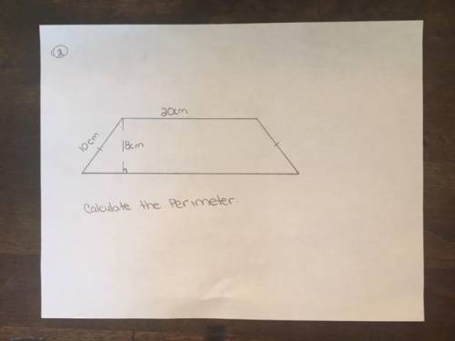 Calculate the perimeter show your work