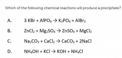 Which of the following chemical reactions will produce a precipitate?