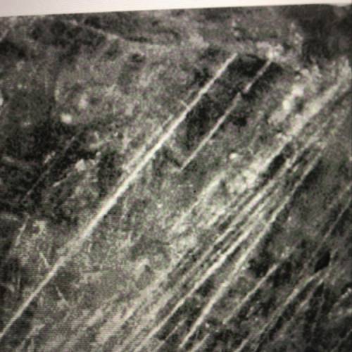 These parallel scratches were most likely caused by Ocean waves  Running water  Wind Or Glacier ice