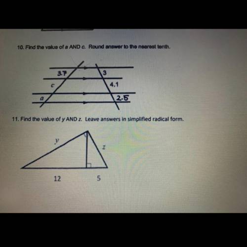 Can someone please help me out with these questions .