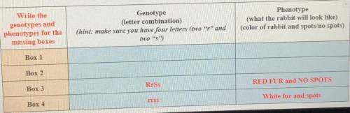 Write the genotypes and phenotypes for the missing boxes