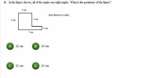 In the figure shown below,all angles are right angles. What is the perimeter of the figure?