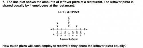 The line plot shows the amounts ofleftover pizzaat a restaurant. The leftover pizza is shared equall