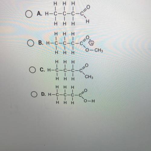 Which of the following is a carboxylic acid?