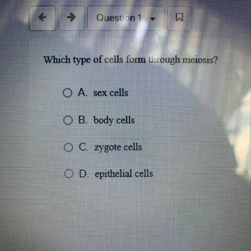 Which type of cells form through meiosis A.sex cells B.body cells C.zygote cells D.epithelial cells