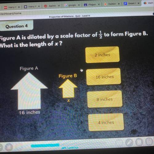 Can you guys please help me with my homework