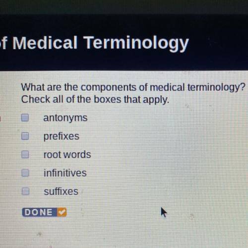 What are the components of medical terminology? Check all of the boxes that apply. antonyms prefixes