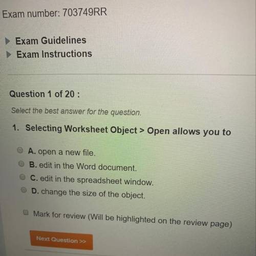 Selecting worksheet object open allows you to