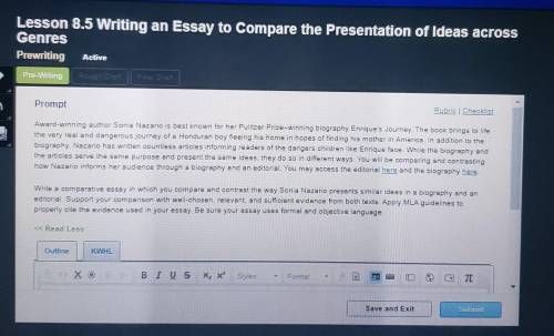 Write a comparative essay in which you compare and contrast the way Sonia Nazario presents similar i