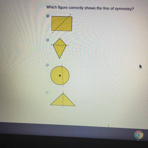 Which figured correctly shows a line of symmetry?