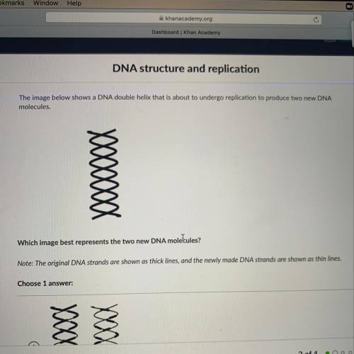 The dna strands thickness lines