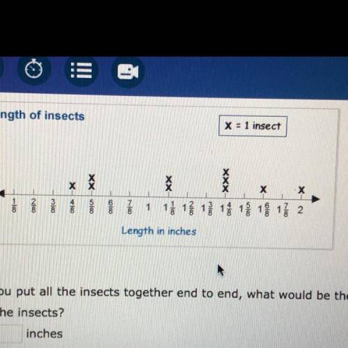 If you put all the insects together end to end, what would be the total length of all the insects?