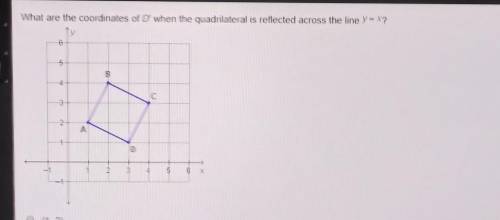 What are the coordinates of D' when the quadrilateral is reflected across the line y=x?