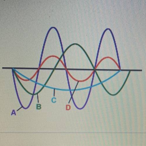 In which wave do the particles of the medium vibrate farthest from their rest positions? A. A B. B C