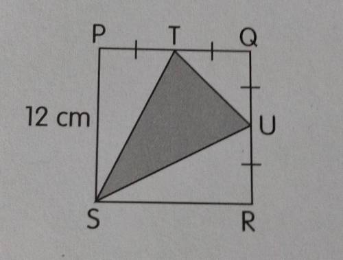 Please Help Me!!*Model given*Question:The figure PQRS is made up of triangles PTS, TQU, URS and TUS.