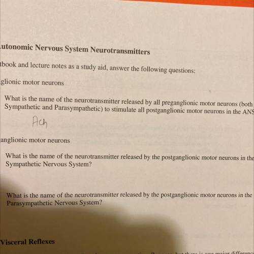 What is the name of the neurotransmitter released by the postganglionic motor neurons in the sympath