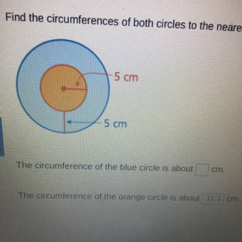 What is the circumference of the blue circle?