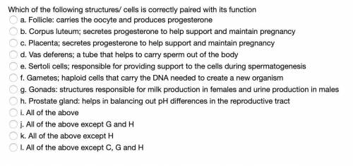 Which of the following structures/ cells is correctly paired with its function