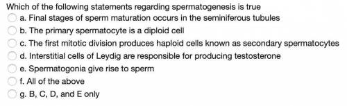 Which of the following statements regarding spermatogenesis is true
