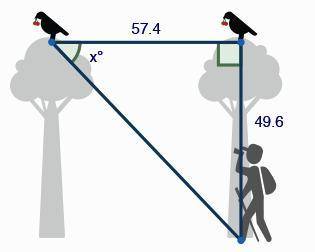 Two birds sit at the top of two different trees 57.4 feet away from one another. The distance betwee