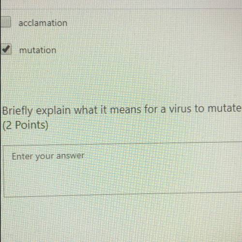 What does it mean for a virus to mutate