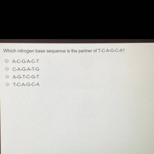 Which nitrogen base sequence is the partner of T-C-A-G-C-A? ANSWER QUICK ONLY TEN MINUTES REMAINING