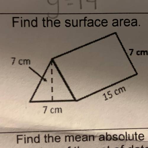 Find the surface area. 7 cm 7 cm 15 cm 7 cm