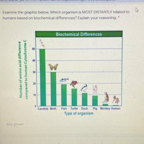 Examine the graphic below. Which organism is MOST DISTANTLY related to humans based on biochemical d