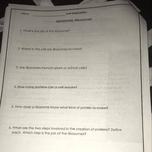 Can someone pls answer these questions for me ?