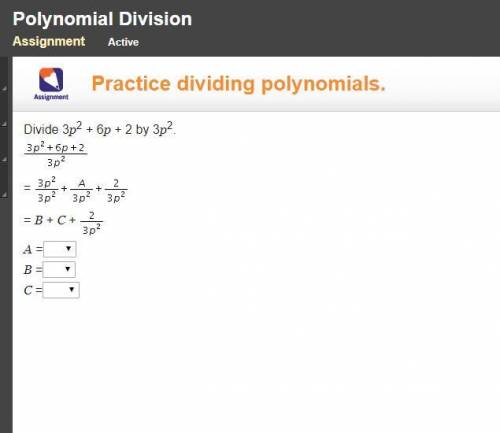 Trouble with polynomial division