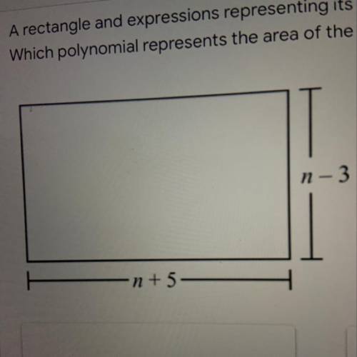 What’s the area of this rectangle
