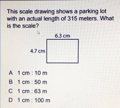 Scale Help MS Math Thank You