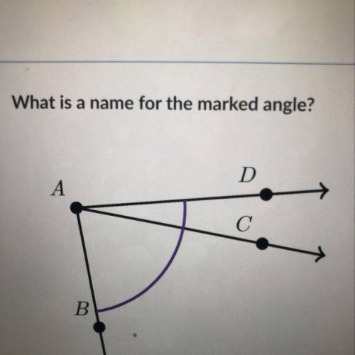 What is a name for a marked angle ? Answers to choose from :