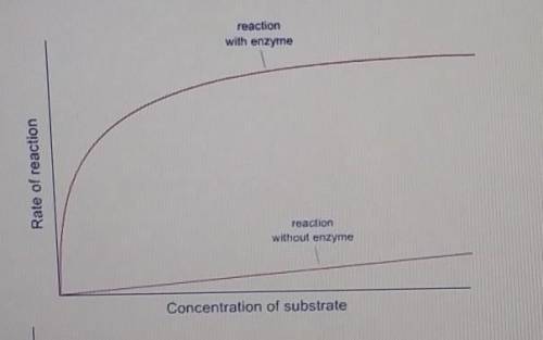 3.) this graph shows the rates of reaction in a chemical reaction with and without the addition of a