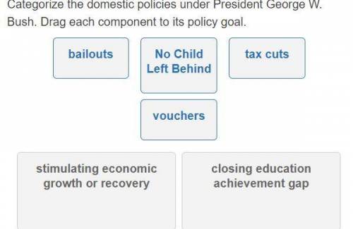 Categorize the domestic policies under President George W. Bush. Drag each component to its policy g