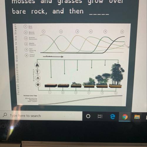 Examine the graphs below that illustrate ecological succession after disturbance. Then, complete the