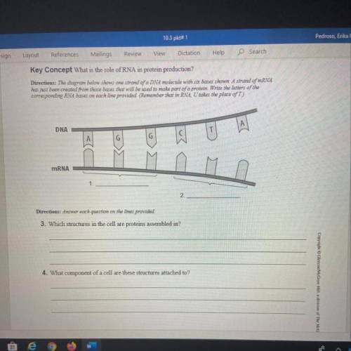 Can someone answer the questions in this worksheet?