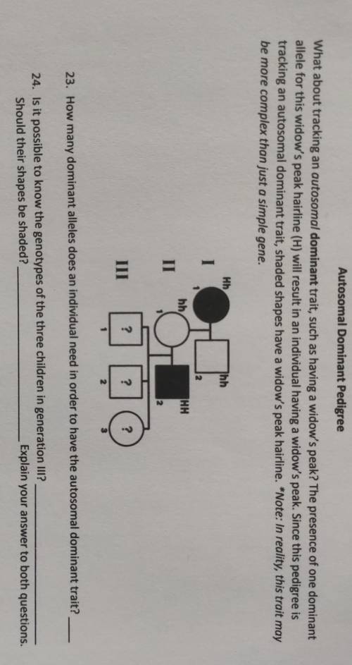 I need help pls, Im stuck on question 23 to 24
