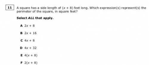 A square has a side length of (X + 8) feet long. Which expression(s) represent(s) the perimeter of t