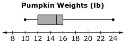 What percent of the pumpkins weigh between 16 and 24 pounds? a). 75% b) 50% c) 25%