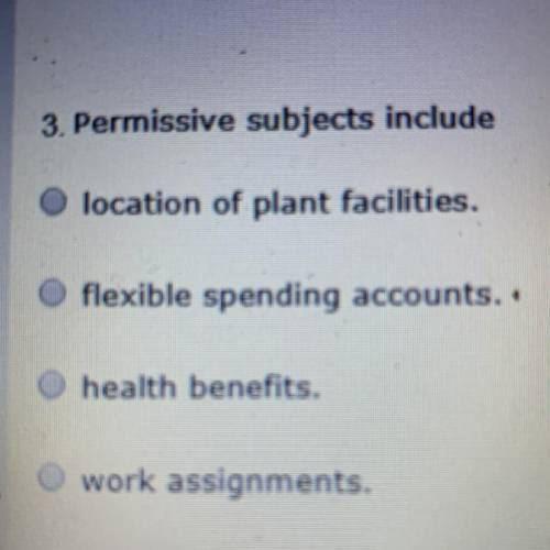 Permissive subjects include A.) location of plant facilities. B.) flexible spending accounts. C.) he