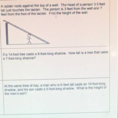 Can some one help me with the three question please :)