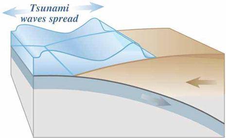 The following image represents the movement of a tsunami, a giant wave produced by an earthquake at