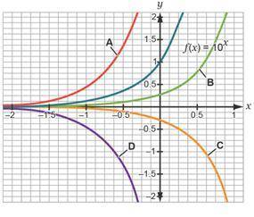 This graph shows transformations between f(x) = 10x and g(x) = a · 10x. Identify the following funct