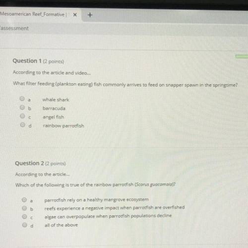 PLEASE HELP WITH THESE 2 I WILL GIVE BRAINLIEST