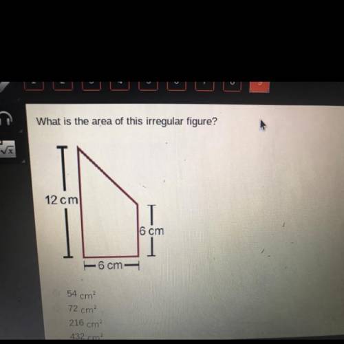 Please help i need an ANSWER QUICK