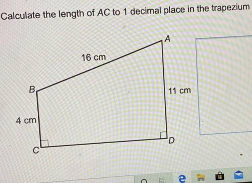Need help with this shapes question